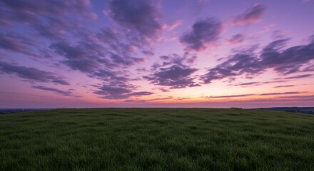 Obraz premium Purple Sunset Over Green Field