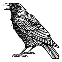 Obraz premium Detailed Black and White Illustration of a Raven