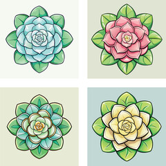 Four Succulent Plants Colored Vector Illustration For Backgrounds And Designs