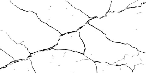 Dry cracked soil texture background. White background vector.The white background features irregular patterns resembling parched earth. Cracked white background with a dry, textured style. 