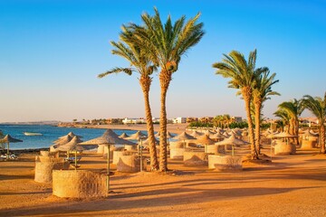 Idylic beach with palms and sun umbrelas, Red Sea, Egypt