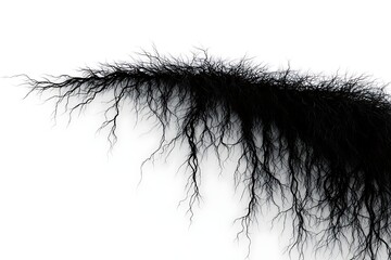 Obraz premium Abstract Black Wave Pattern Resembling Tree Root Systems on a White Background