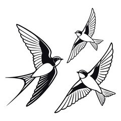 Three Swallows in Flight Black and White Illustration