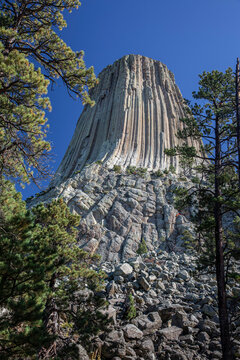 Devil's Tower National Monument, a rare form of igneous rock, rises out of the Wyoming landscape, USA.