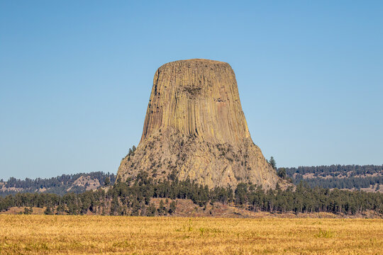 Devil's Tower National Monument, a rare form of igneous rock, rises out of the Wyoming landscape, USA.