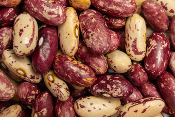 multicolored homegrown delicious kidney beans
