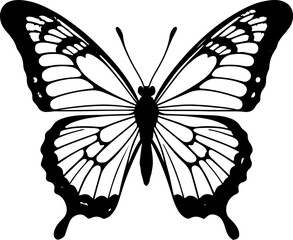 Elegant Black & White Butterfly Outline: Nature's Beauty & Transformation Symbol