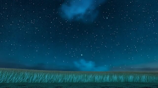 Starry Night over Serene Field