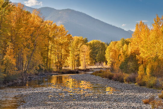 USA, Washington State. Autumn colors along the Methow River near Winthrop