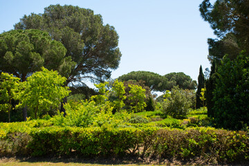 Obraz premium Exploring the gardens at the Archeology Museum Empúries on the Gulf of Roses in Spain.