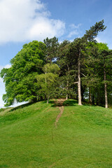 Phoenix Park in Dublin, Ireland 