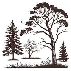 Obraz premium set of trees