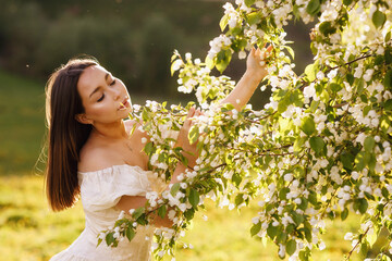 A girl in a dress and a blooming apple tree, taken at sunset