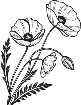 poppy flower silhouette,linocut style,high resolution, transparent background