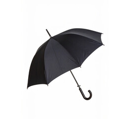 Classic black umbrella with a black curved handle, angled for a dramatic silhouette