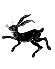 Obraz premium jumping hare vector