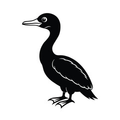 double crested cormorant 