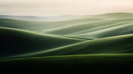 A field of green grass with a cloudy sky in the background