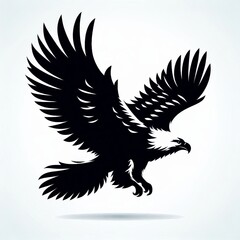 Obraz premium eagle Silhouette