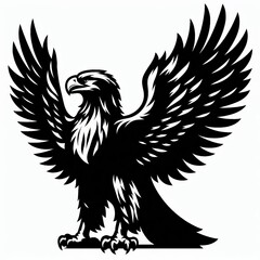 Obraz premium eagle Silhouette