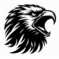 Obraz premium eagle Silhouette