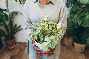 A person is holding a delightful indoor plant surrounded by lush greenery in the background