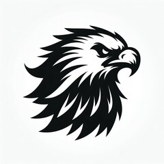 Fototapeta premium eagle Silhouette