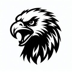 Fototapeta premium eagle Silhouette