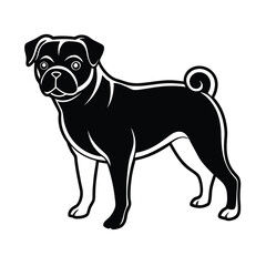 Obraz premium pug dog head