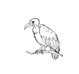 Obraz premium Perched Vulture Drawing: A detailed drawing of a vulture perched on a branch, featuring intricate feather detail and a focused gaze.