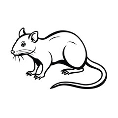 Fototapeta premium vector illustration of a mouse