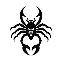 spider on a white background