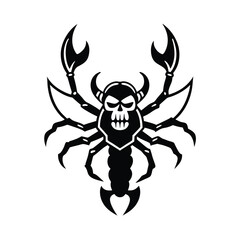 spider on a white background