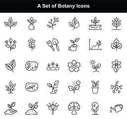 Fototapeta premium Black Line Style Botany Icon Set with Leaf, Flower, Seedling on White Backdrop
