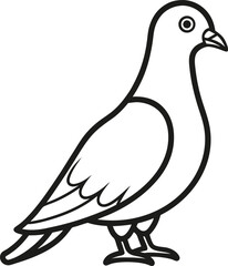 pigeon outline icon on transparent background