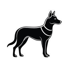 stylish dingo silhouette