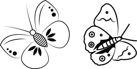 Hand drawn butterfly illustration, Butterfly line art