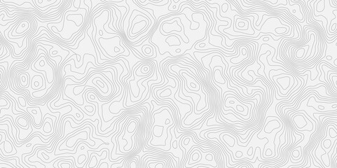 Obraz premium topographic modern white texture with subtle swirls and contour wavey lines, creating a soft and elegant background effect. Ideal for adding a touch of sophistication to designs.