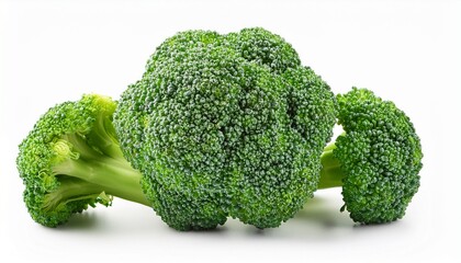 fresh green broccoli floret isolated on white background