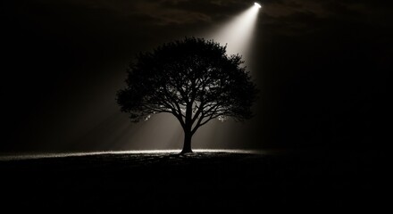 A tree silhouette is dramatically lit by a powerful spotlight in a dark, black and white landscape, creating a mysterious and atmospheric scene with high contrast.