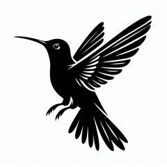 Obraz premium Hummingbird Silhouette