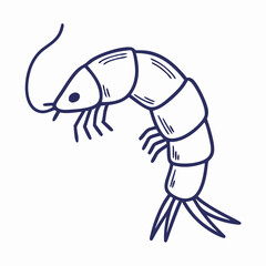 Hand-drawn Shrimp Illustration, Seafood Clipart, Nautical Design