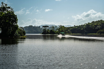 Ein kleines mit grünem Sonnendach ausgestattetes Motorboot fährt mit schneller Fahrt auf dem Lago Gatún in Panama; im Hintergrund der Regenwald Panamas