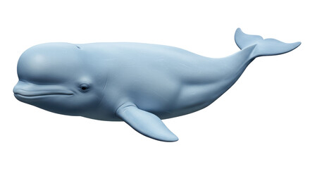 Isolated Beluga Whale