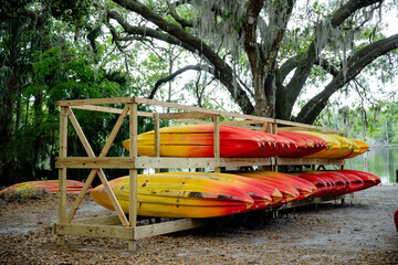 Stacked colorful kayaks on a wooden rack under a large tree near a calm river, outdoor recreation...