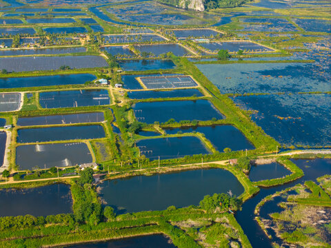 Fototapeta Aerial view of fish farming ponds in rural Thailand, aquaculture industry concept