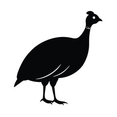 guinea fowl vector silhouette