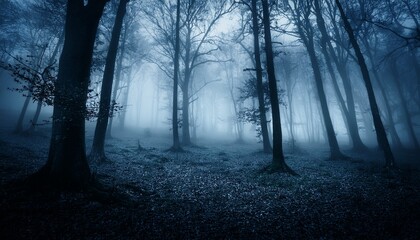 Fototapeta premium dark forest horror background with fog