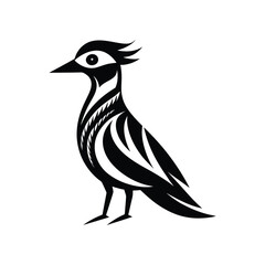 bird on a white background