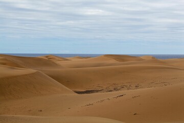 The sand dunes of Maspalomas at Gran Canaria